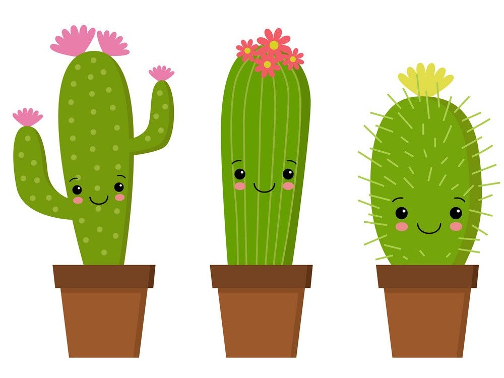 three cute cactuses