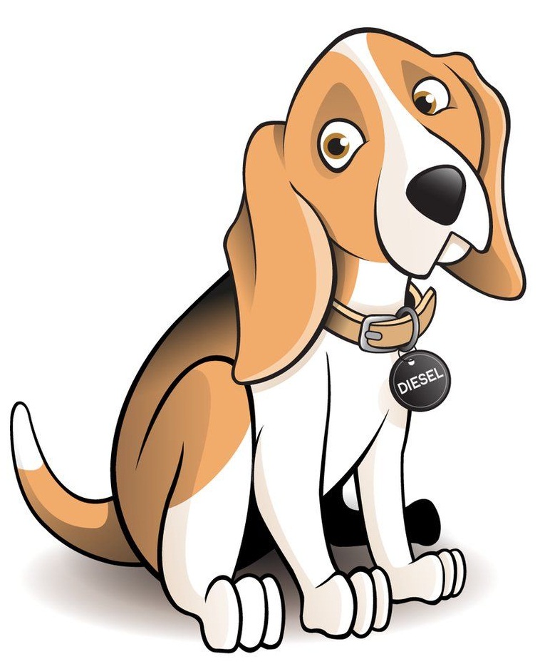 Diesel the Beagle dog