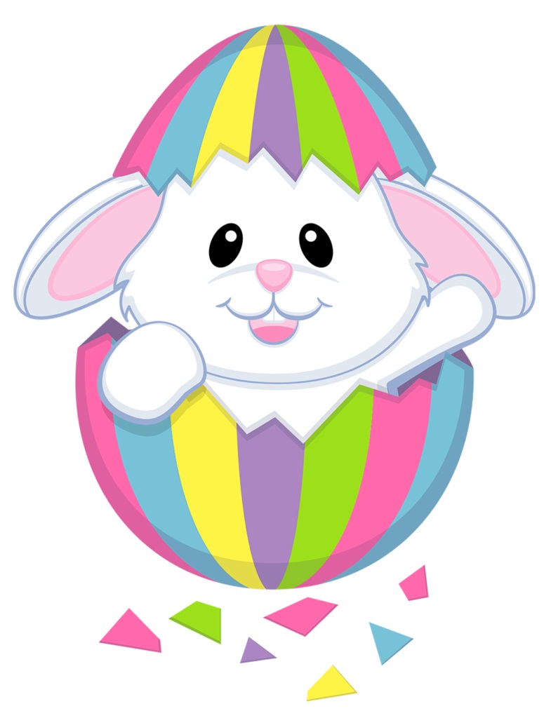 Lovely Bunny in The Egg
