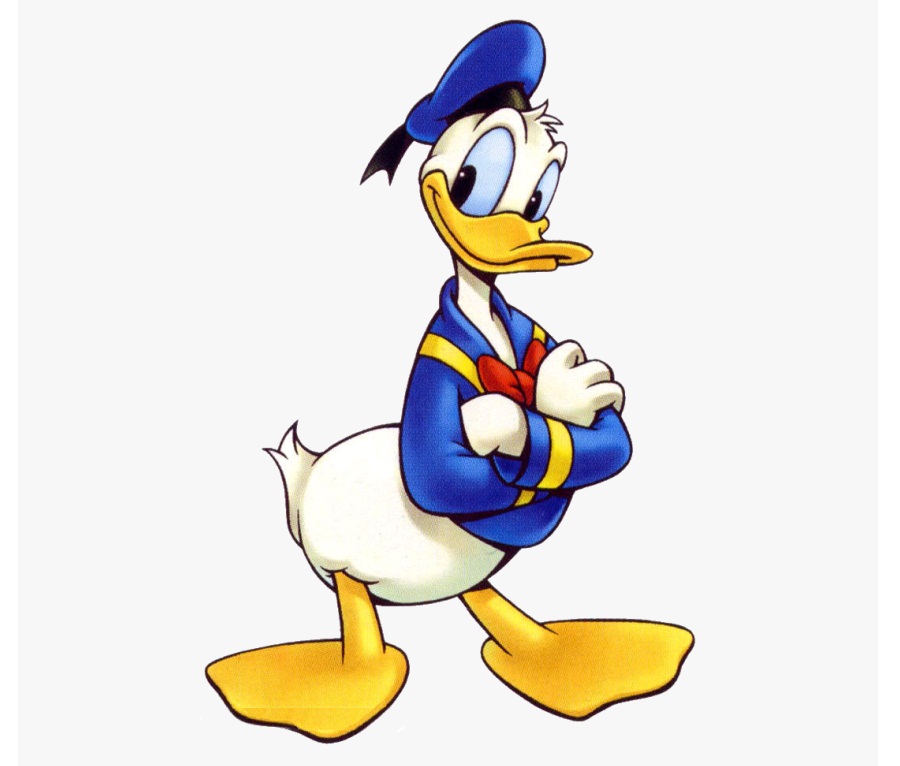 Donald crossed arms