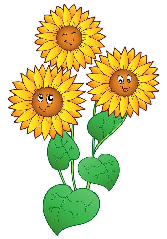 three cartoon sunflowers