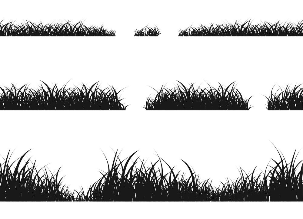 Grass Silhouette png 1