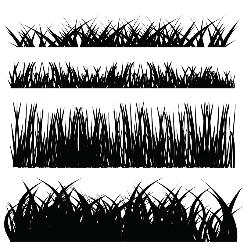 Grass Silhouette png 10