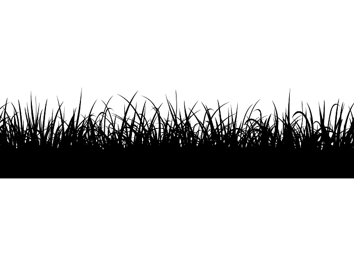 Grass Silhouette png 11
