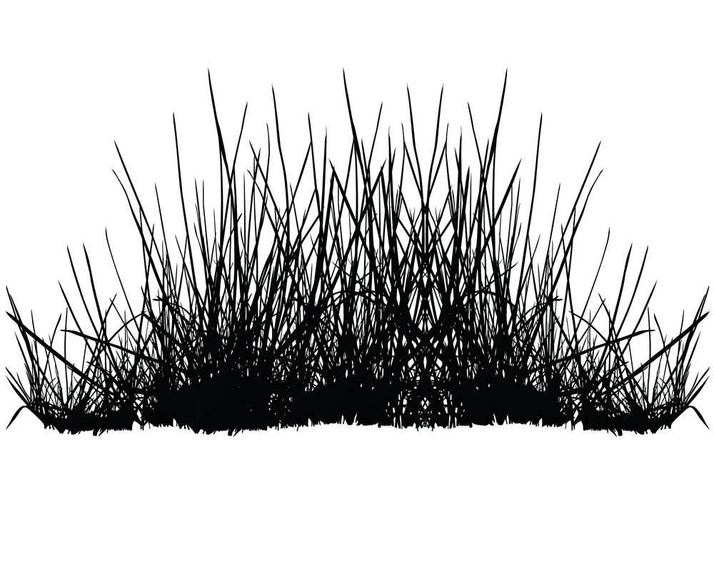 Grass Silhouette png 12