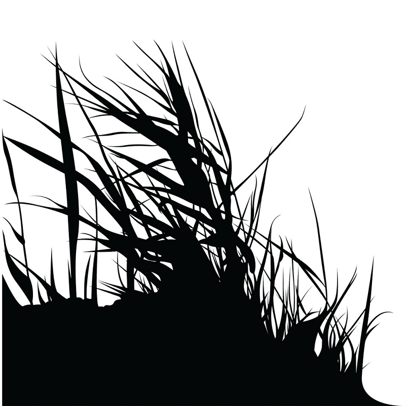 Grass Silhouette png 13