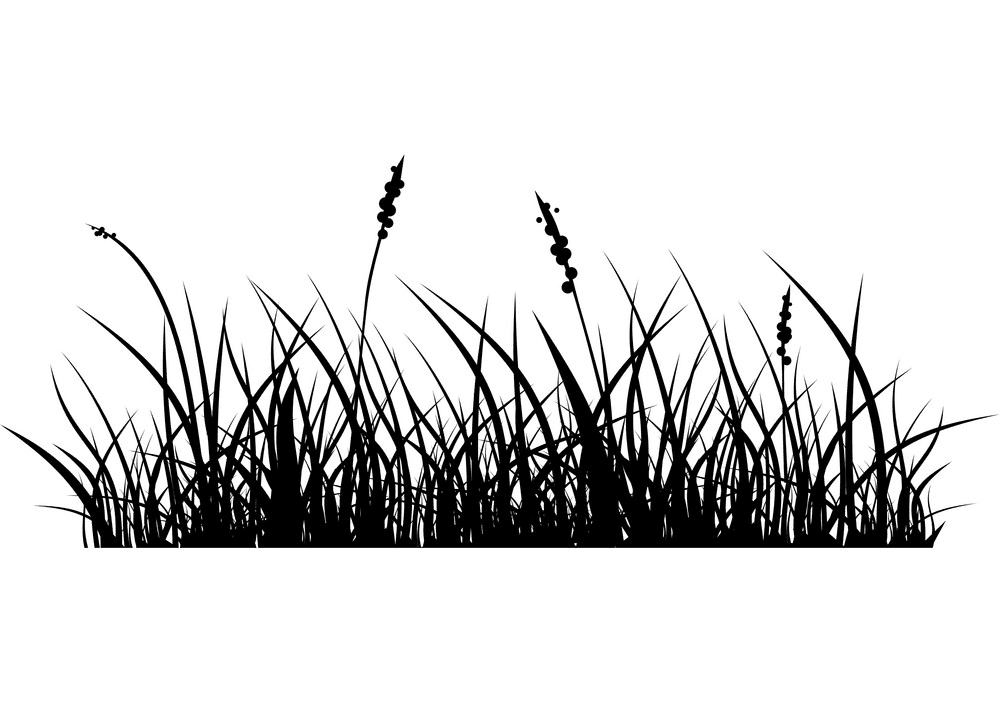 Grass Silhouette png 14