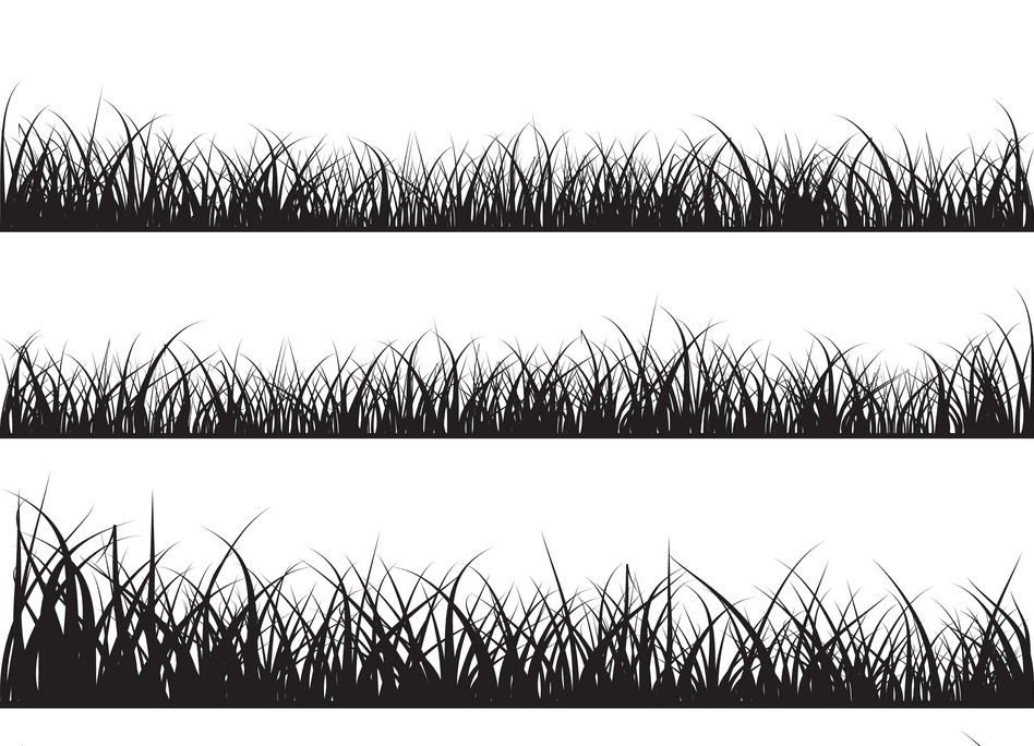 Grass Silhouette png 5
