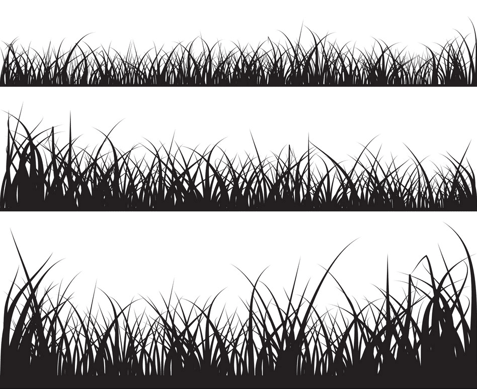 Grass Silhouette png 6