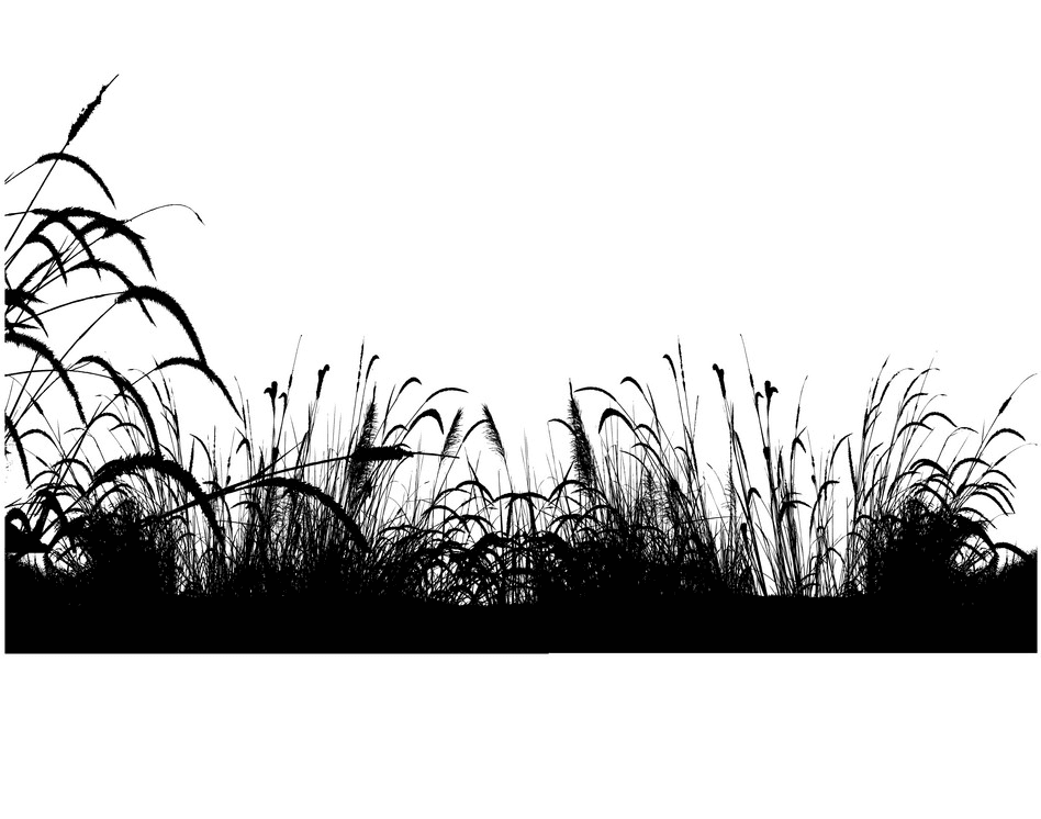 Grass Silhouette png 8