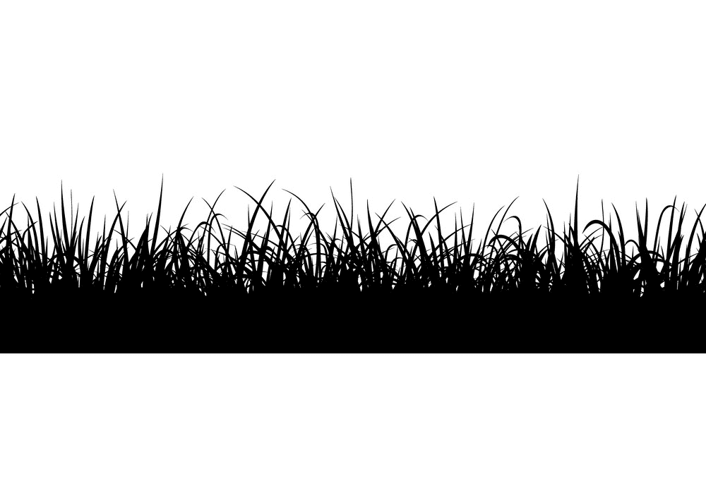 Grass Silhouette png 9