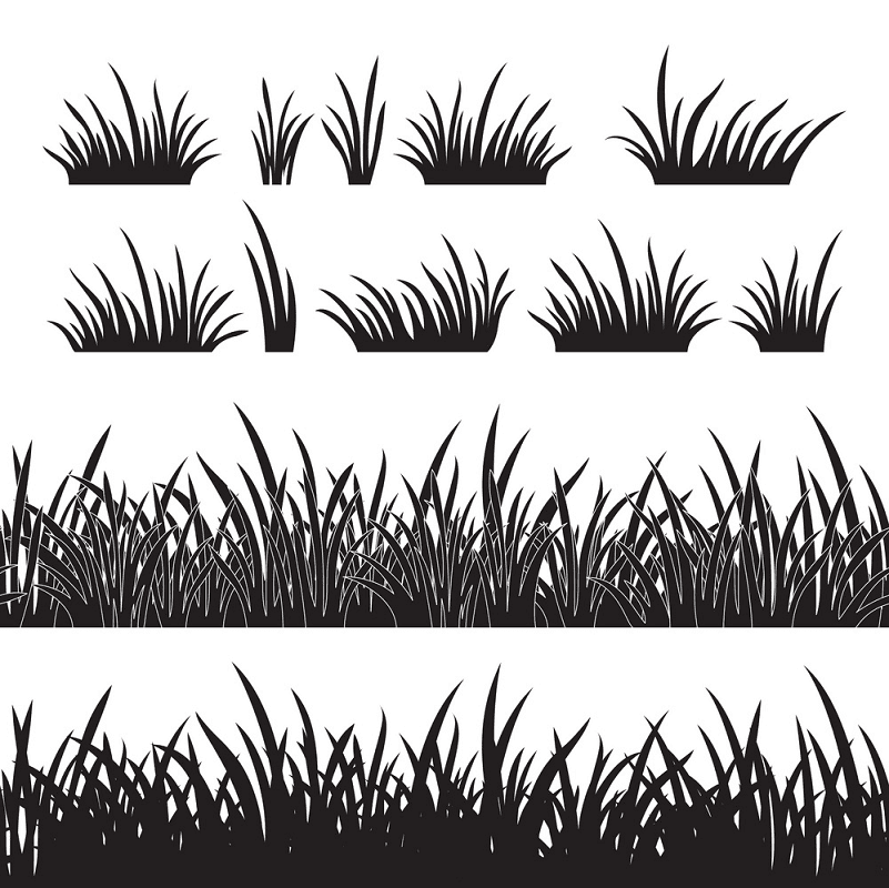 Grass Silhouette png download