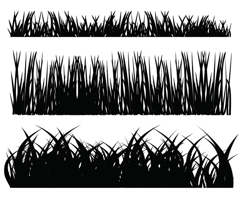 Grass Silhouette png image