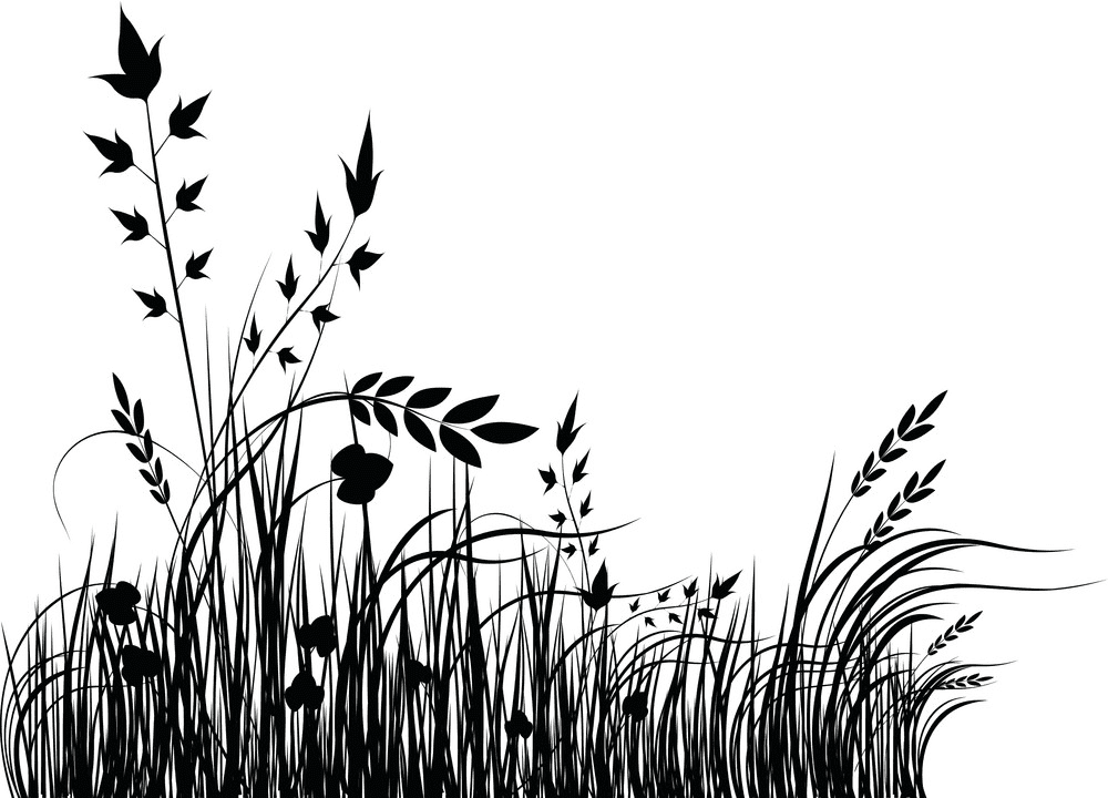 Grass Silhouette png