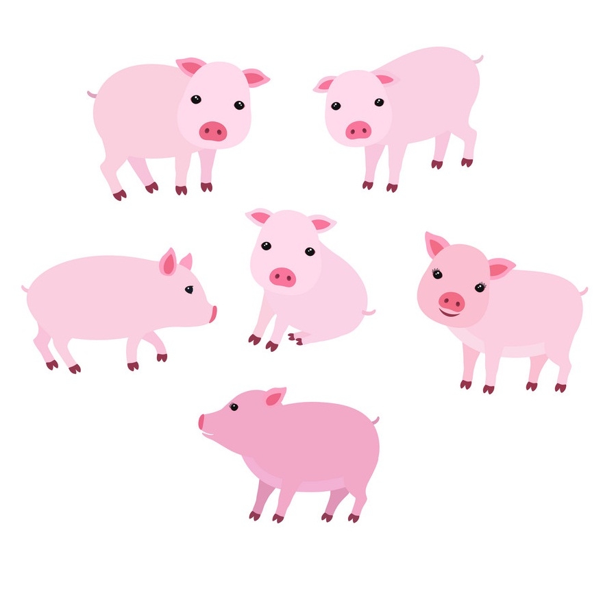 a flock of piglets