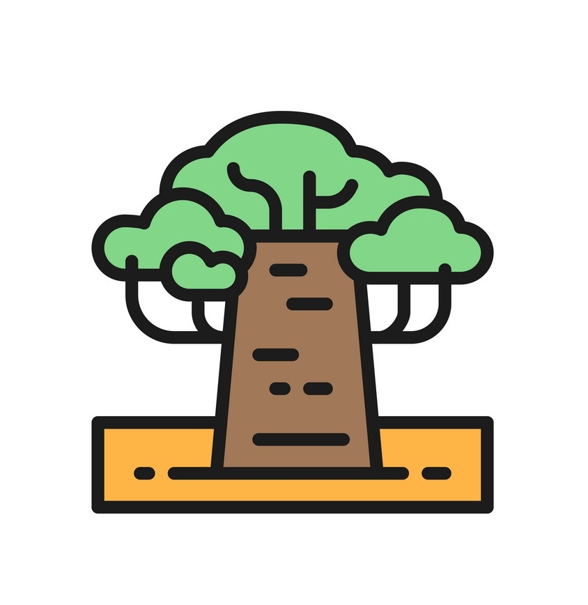 african baobab icon