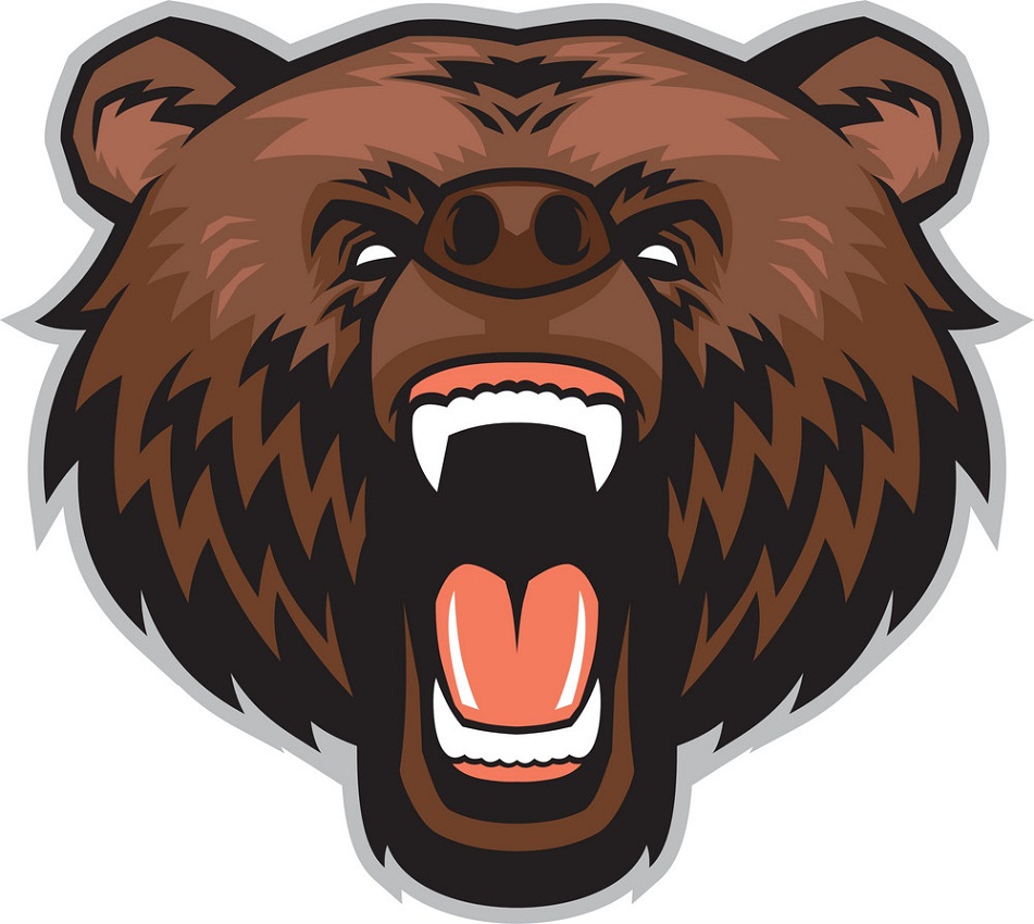 angry brown bear head
