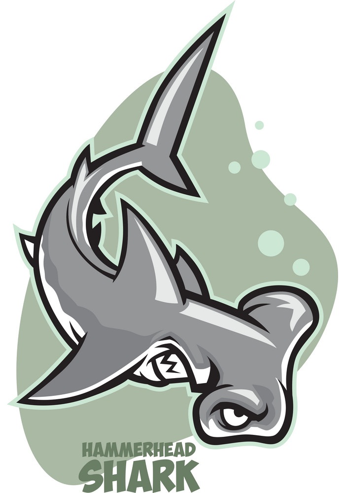 angry hammerhead shark