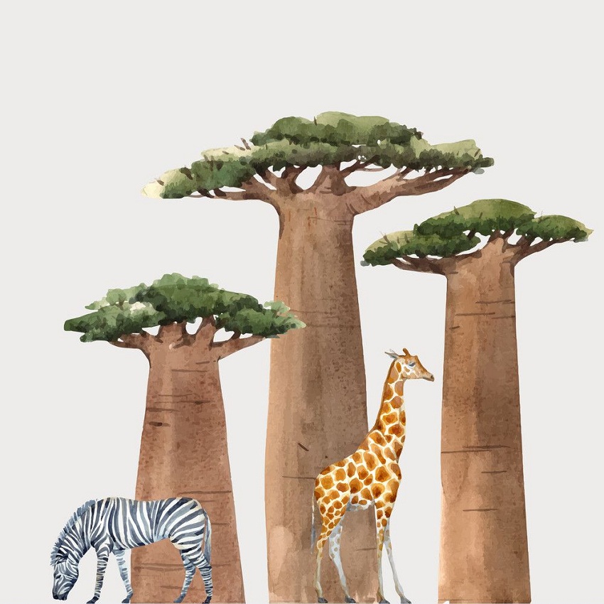 babobab trees with animals