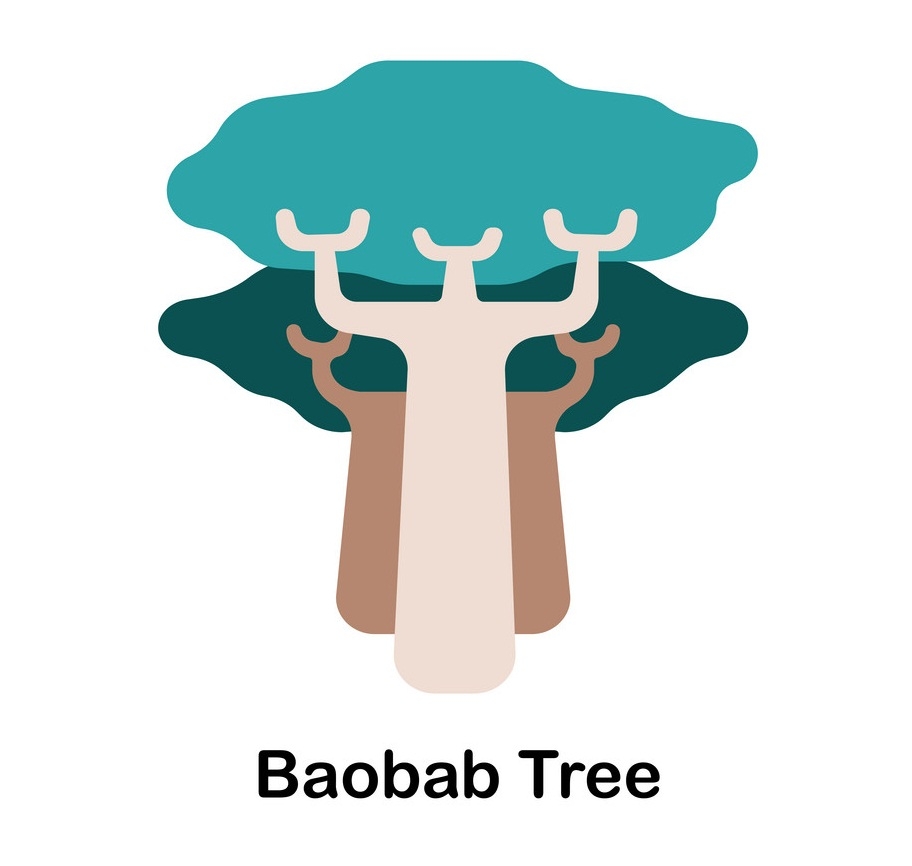 baobab trees