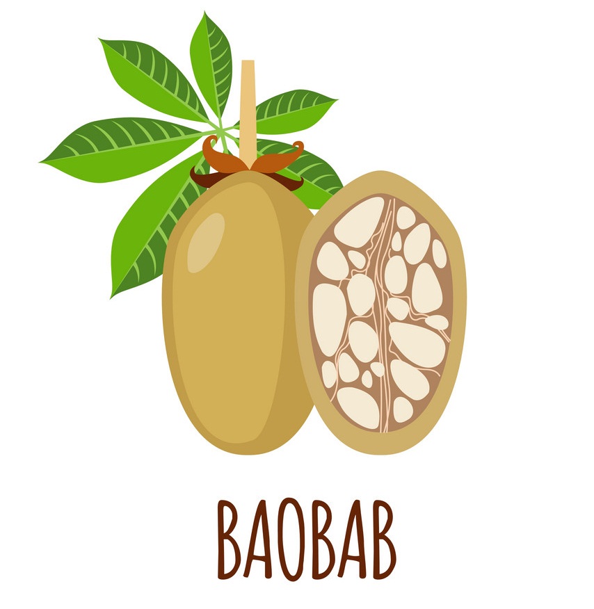 baobab fruit