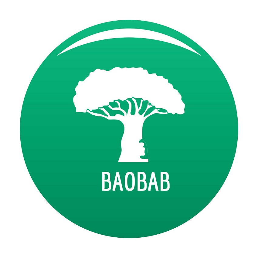 baobab tree logo