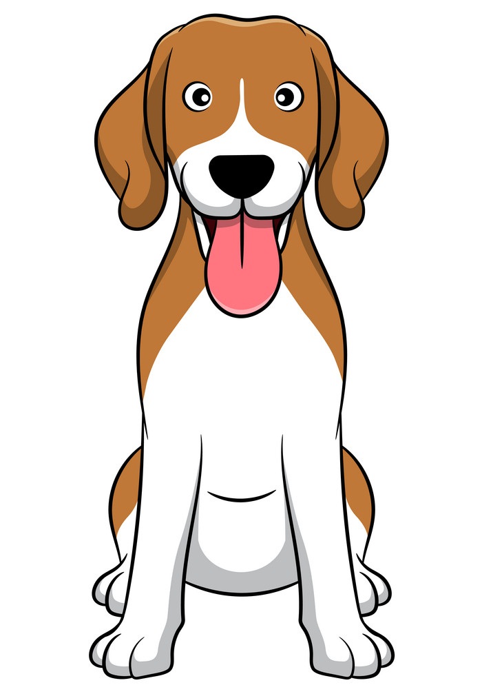 happy beagle dog
