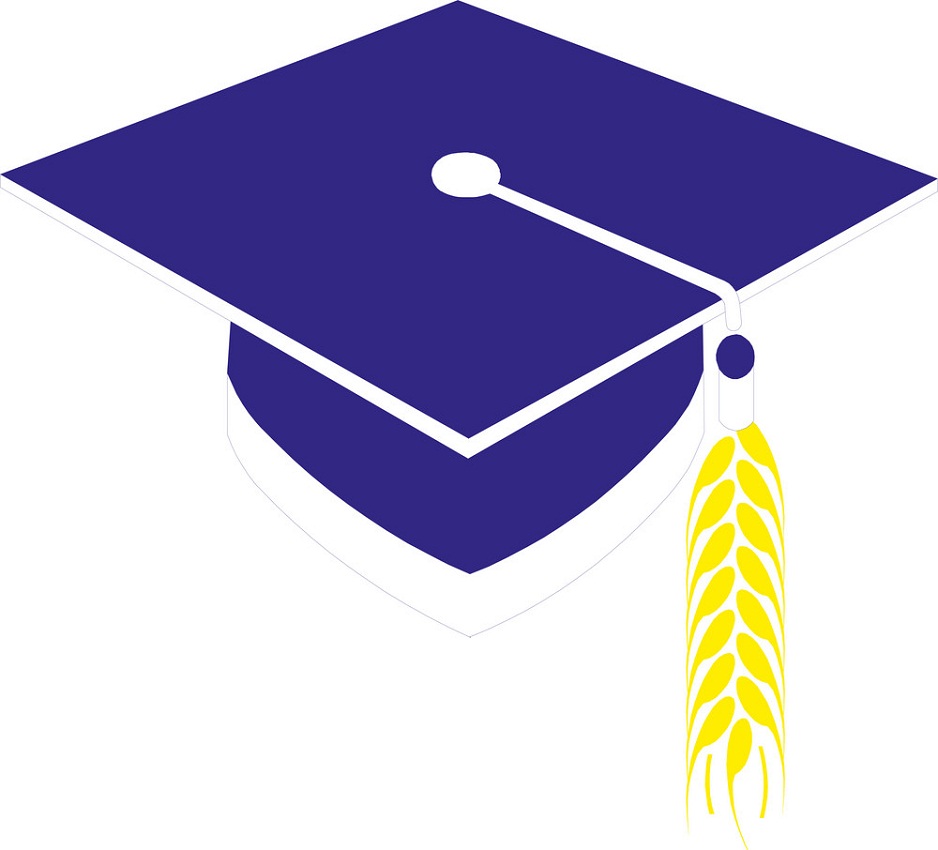 blue graduation cap with yellow tassel