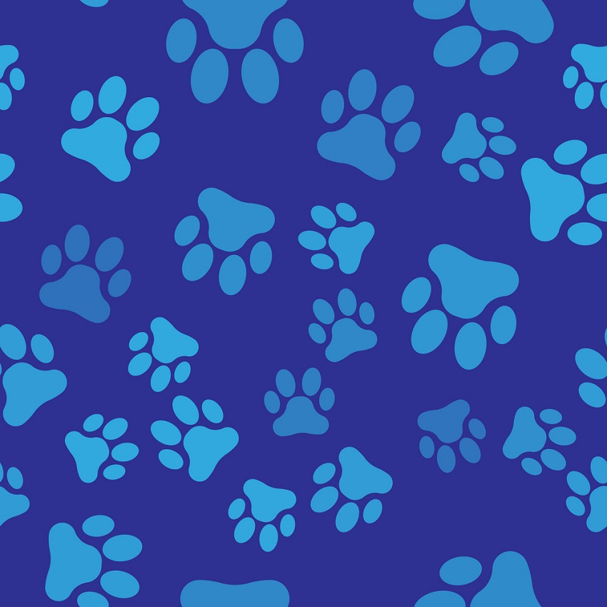 blue paws print on blue background