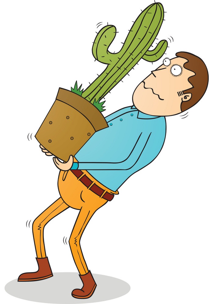 carrying cactus