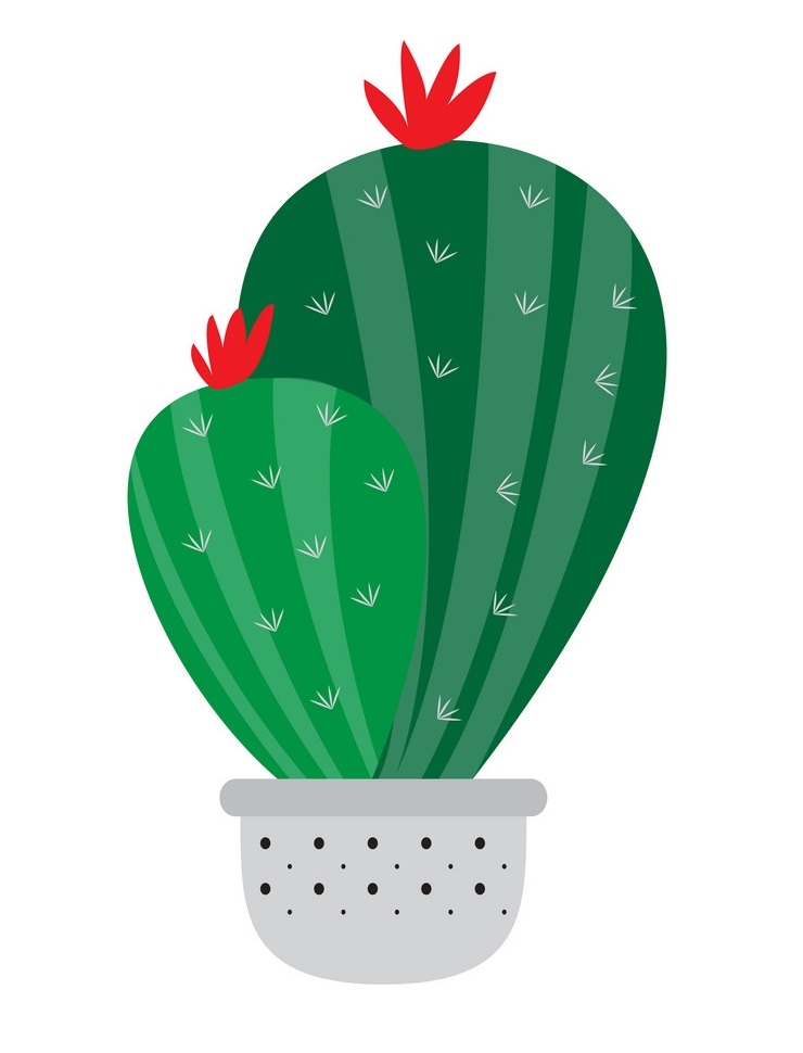 big cactus in a pot