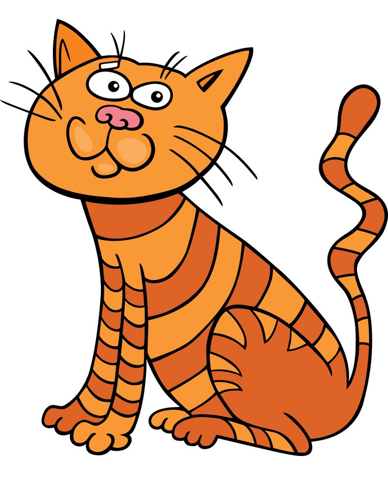 funny orange zebra cat