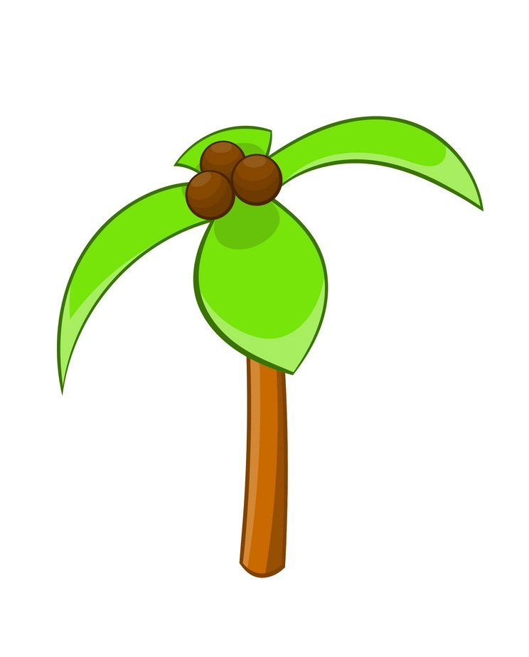 cartoon coconut palm tree