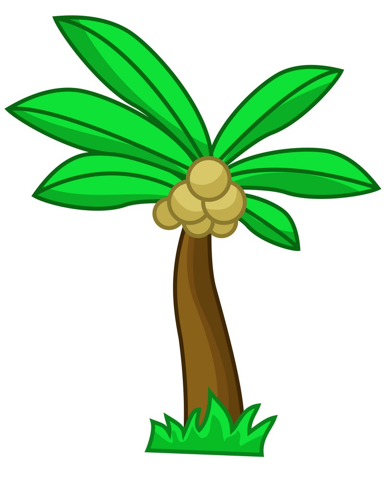 cartoon coconut tree