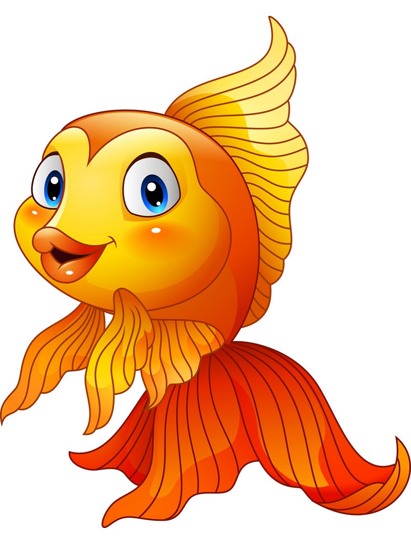 lovely goldfish