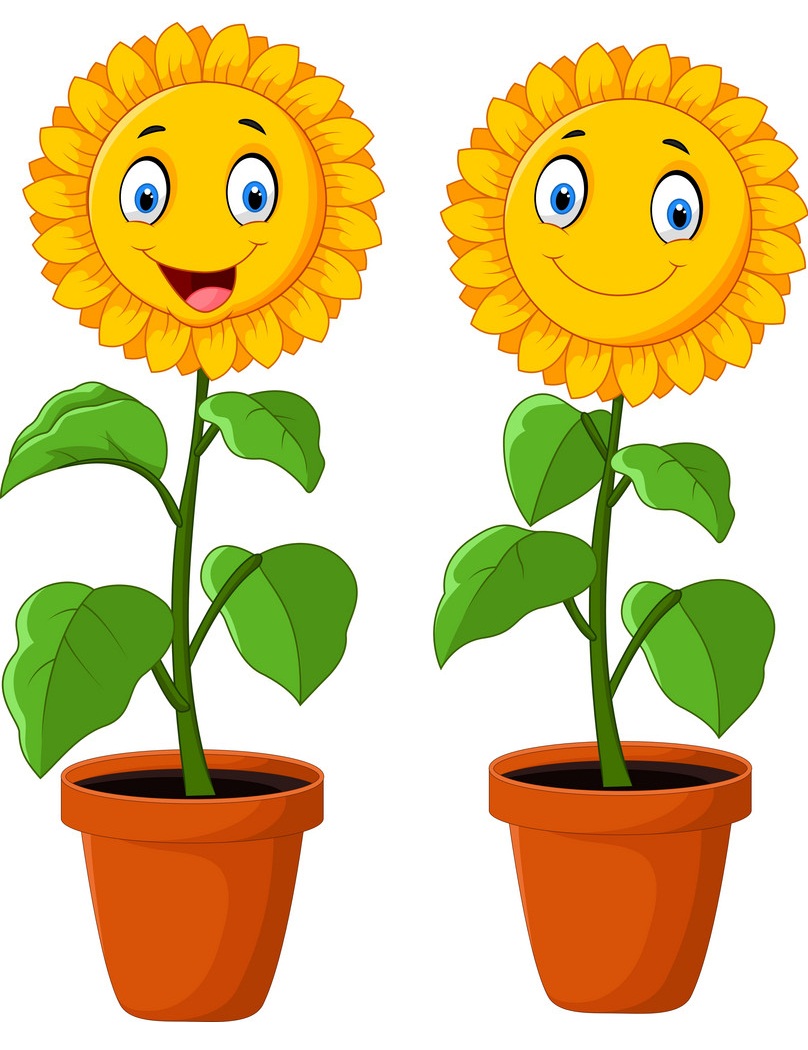 two happy sunflower