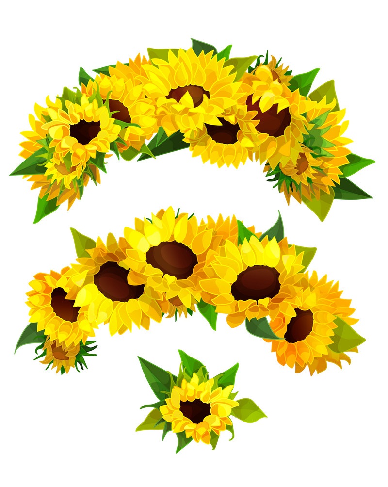 bunches of sunflowers