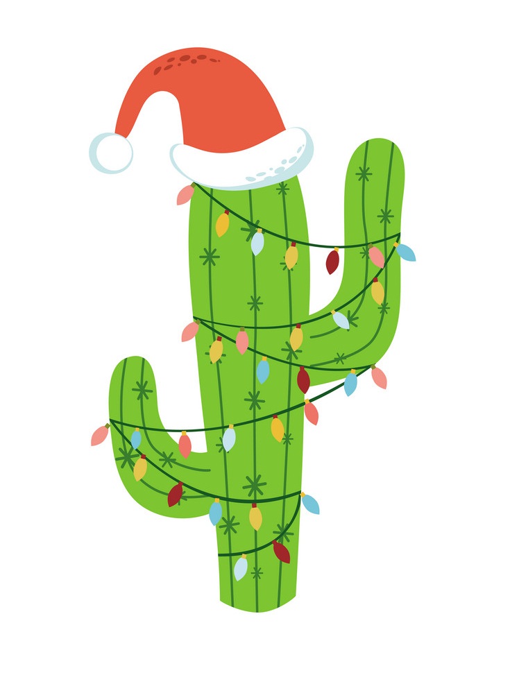 Christmas cactus in Santa hat