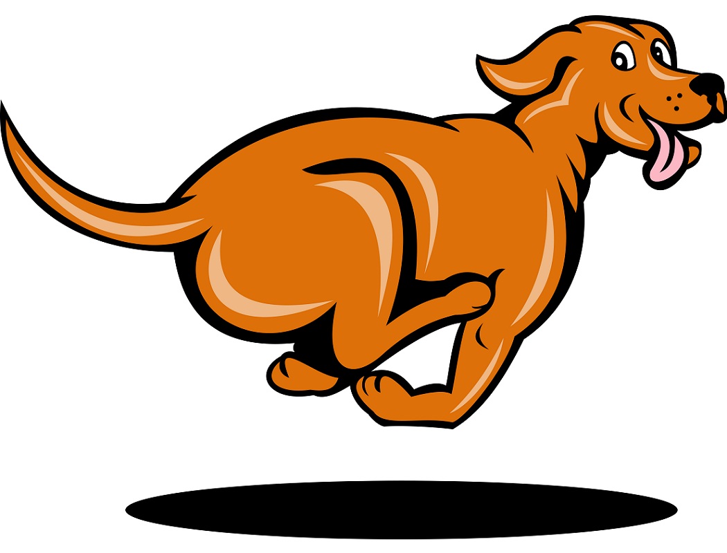 orange dog running