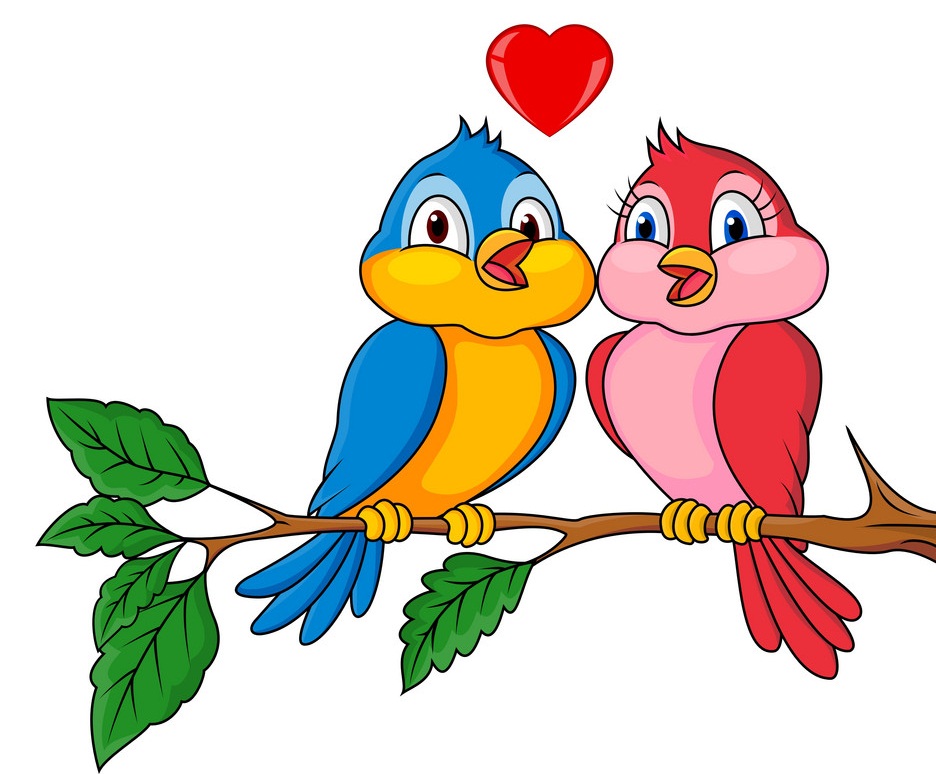 couple birds in love