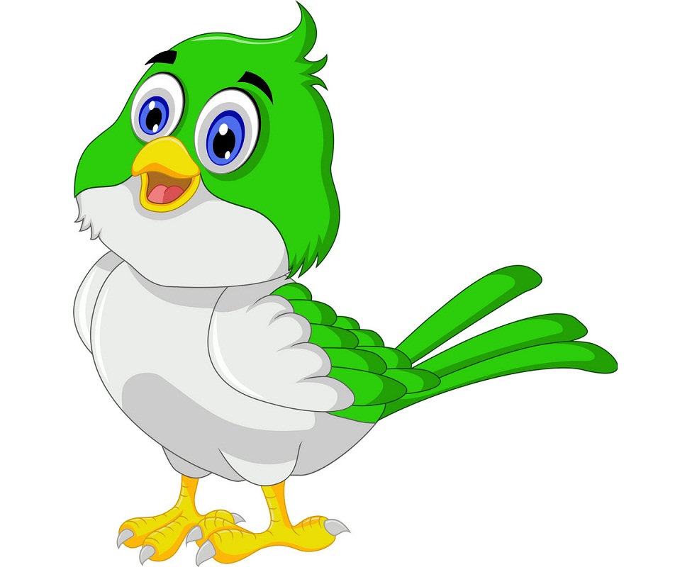 cute green bird