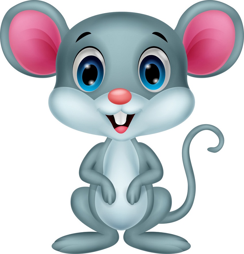 cute mouse