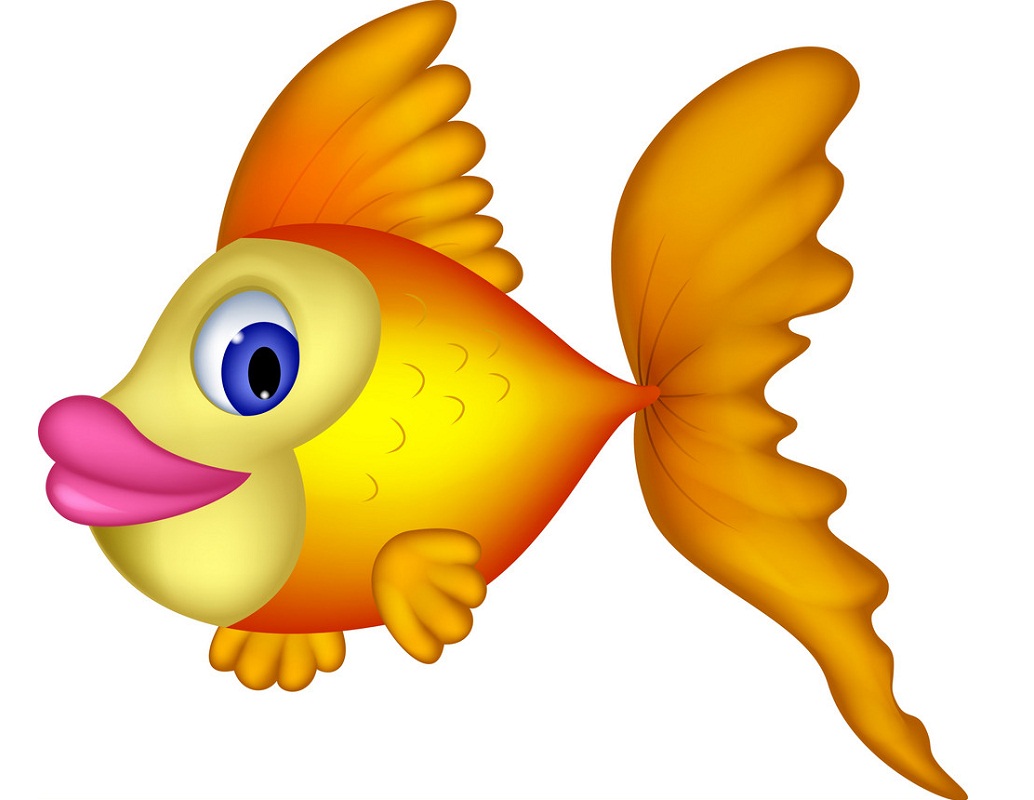 cute goldfish