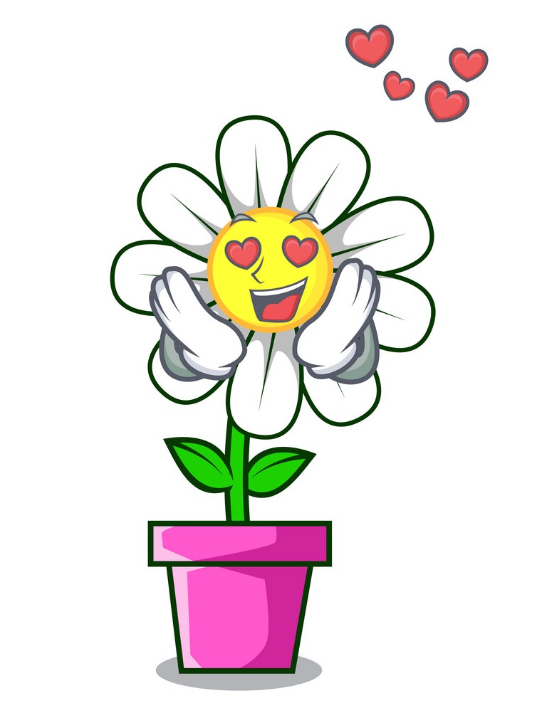 daisy in love