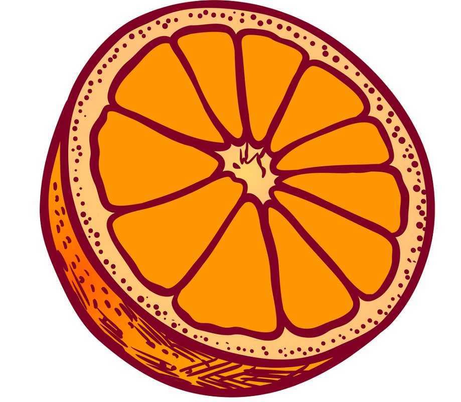 drawing of half of an orange