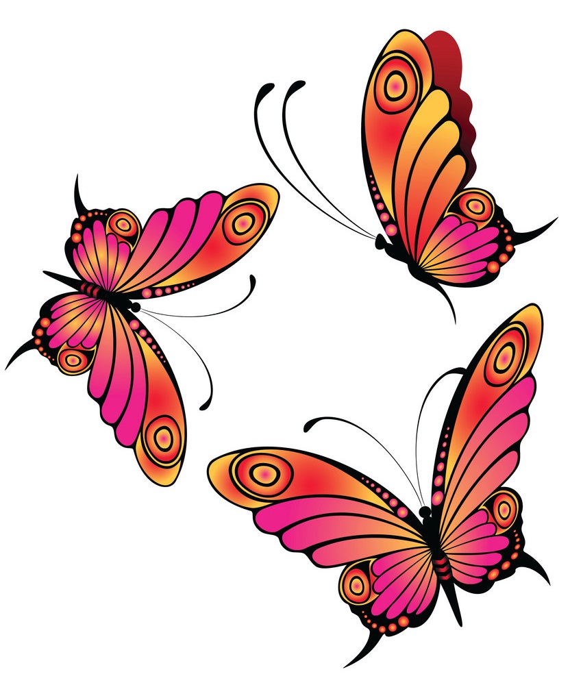 elegant butterflies