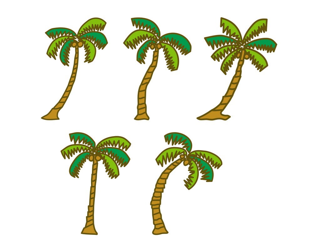 five coconut trees