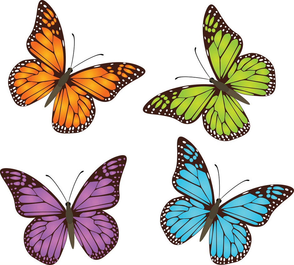 four monarch butterflies