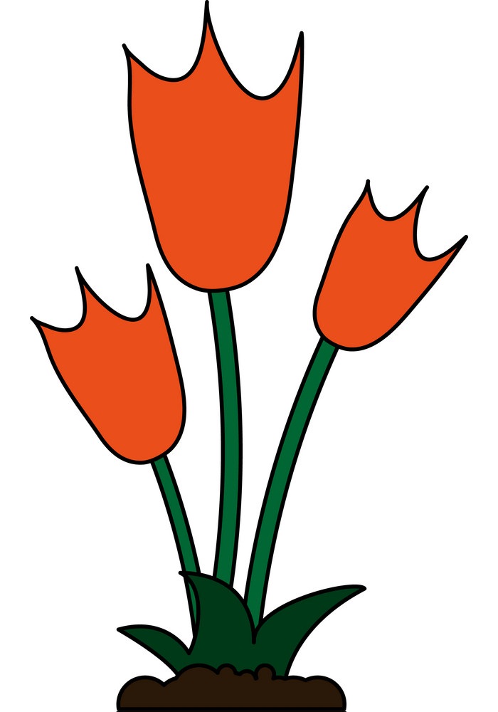 funny orange tulips