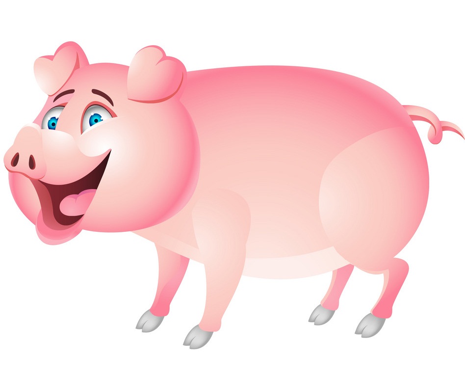 funny pig smiling